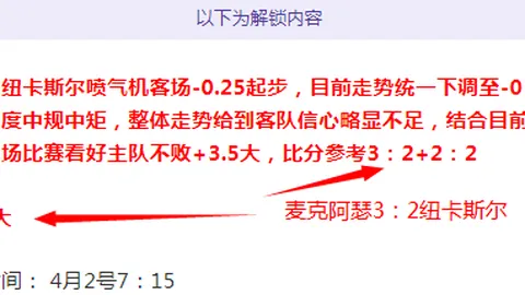 斯图加特推动印足球合作：解决发展难题，共筑世界杯愿景